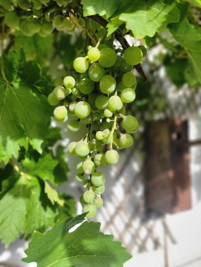 Les Gites De L'Herperie Blicourt Kültér fotó